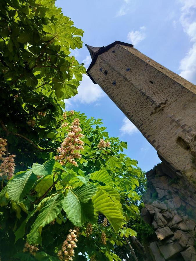 Penzion David Otel Třešť Dış mekan fotoğraf