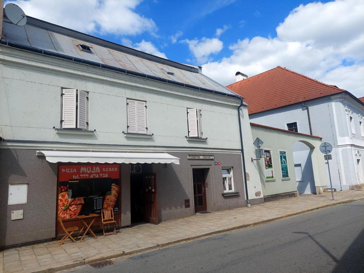 Penzion David Otel Třešť Dış mekan fotoğraf